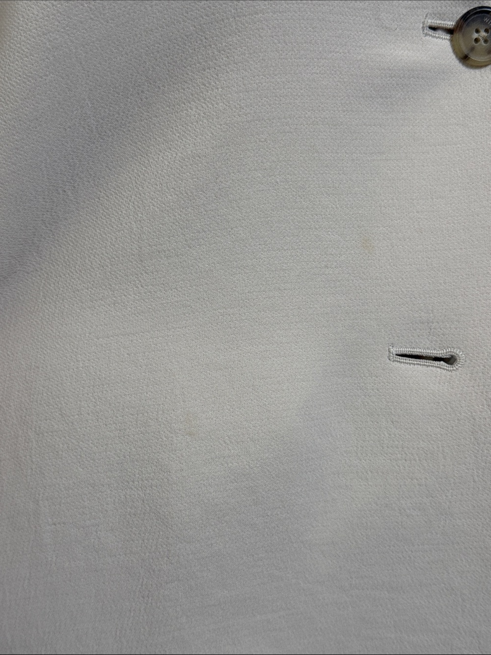 Aritzia Button Blazer - Picture 11 of 16